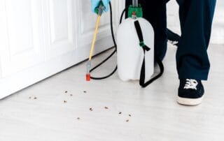 Professional pest control technician applying treatment to a floor with specialized equipment.