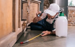Pest control worker inspecting kitchen floor with flashlight and spray canister.
