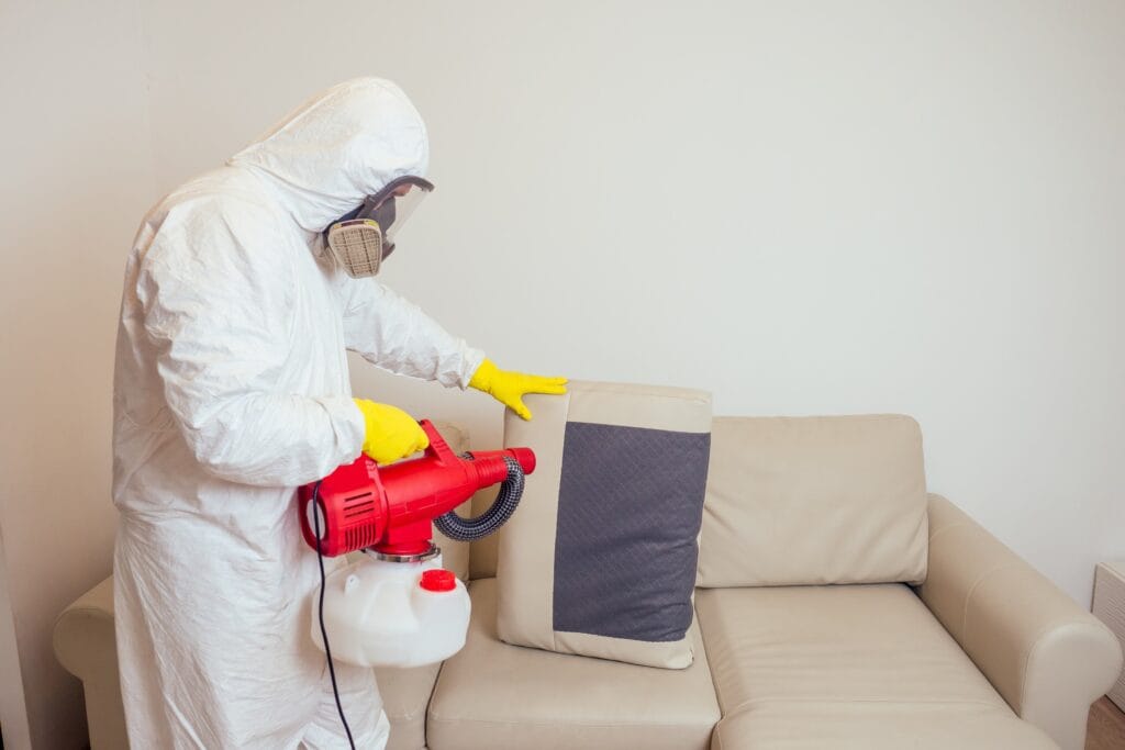 Pest control specialist using fumigation equipment on a couch.