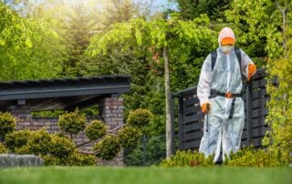 Person spraying pesticide in garden with protective suit