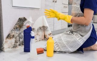 Person cleaning mold from kitchen cabinet