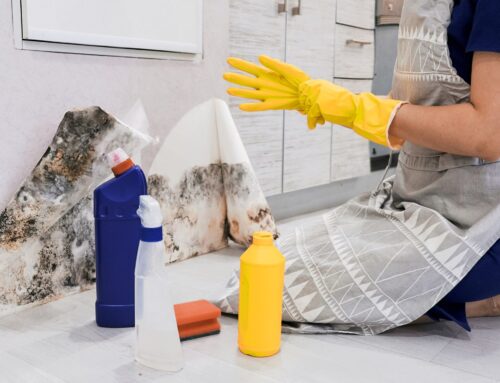 What Attracts Pests to Clean Homes (Yes, Even Clean Ones)