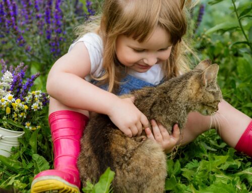 How Modern Pest Control Protects Kids, Pets, and Pollinators