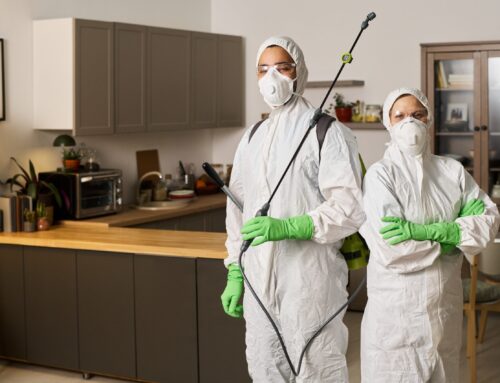 What to Expect During Your First Professional Pest Control Visit
