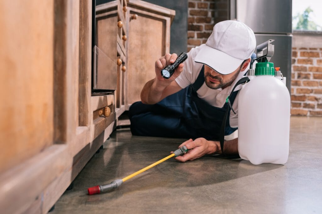 Pest control technician inspecting kitchen cabinet